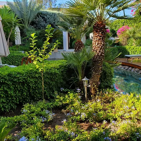 Hotel Munahan Bodrum